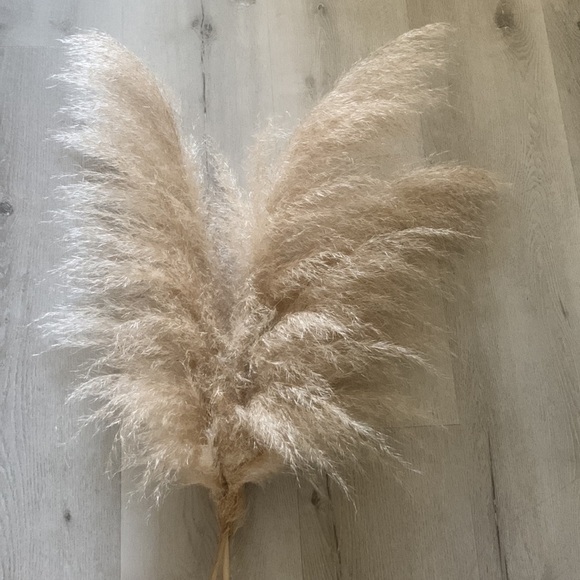 Dried pampas grass 3 pcs tall bohemian‎ fall festival home Decor natural - Picture 4 of 6